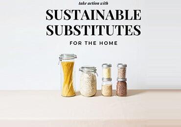 UN FAO: Bioplastics as a sustainable alternative to traditional plastics for agricultural development